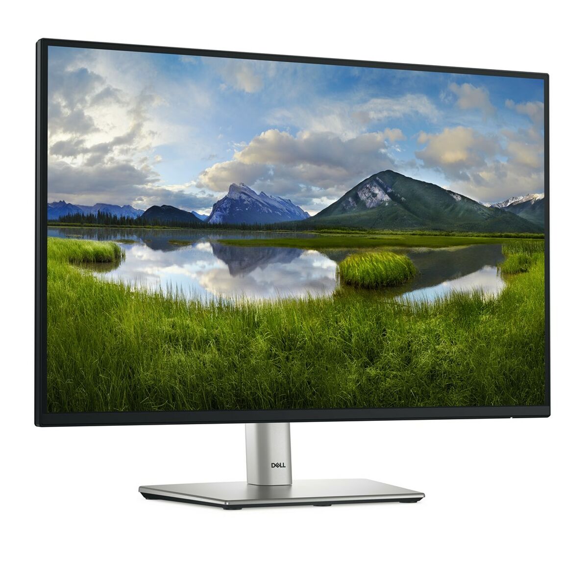 Skærm Dell P2425  24,1" HD WUXGA 100 Hz